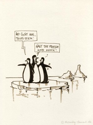 pinguine pinguine
