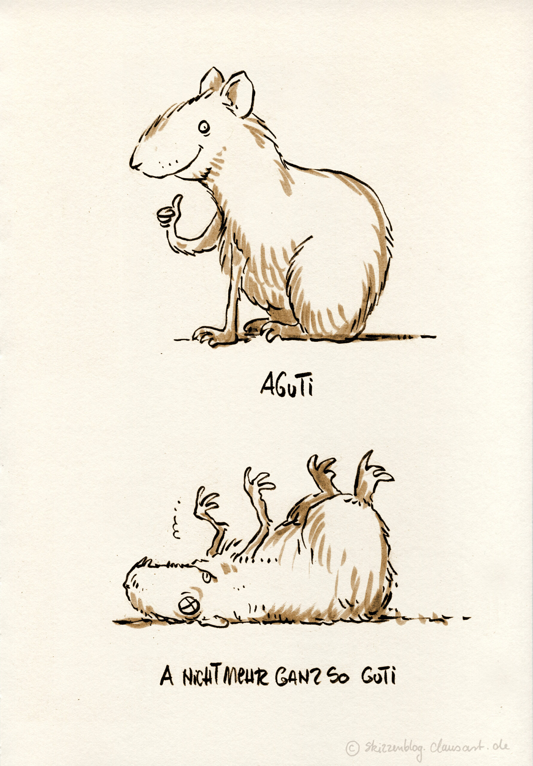 Agutis (Gattung Dasyprocta) sind in Mittel- und Südamerika beheimatete, tagaktive Nagetiere aus der Verwandtschaft der Meerschweinchen.