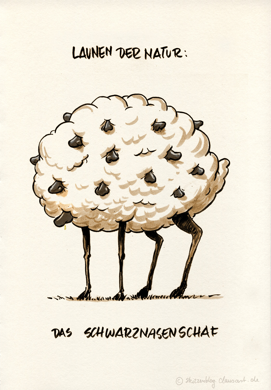 Das Schwarznasenschaf (oft auch SN abgekürzt) ist eine heute hauptsächlich im Oberwallis gehaltene Rasse des Hausschafs.